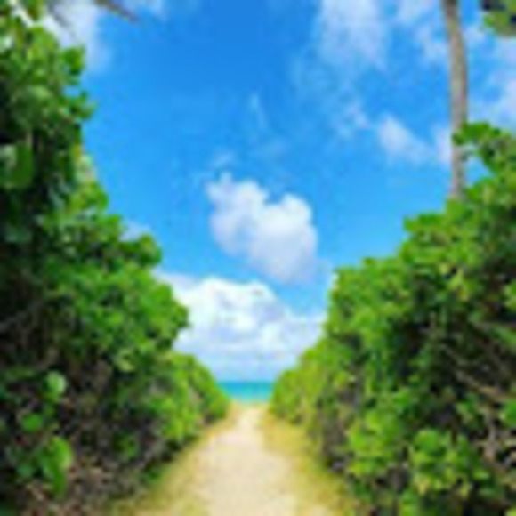 Meet your Posher, Samantha - Picture 1 of 1